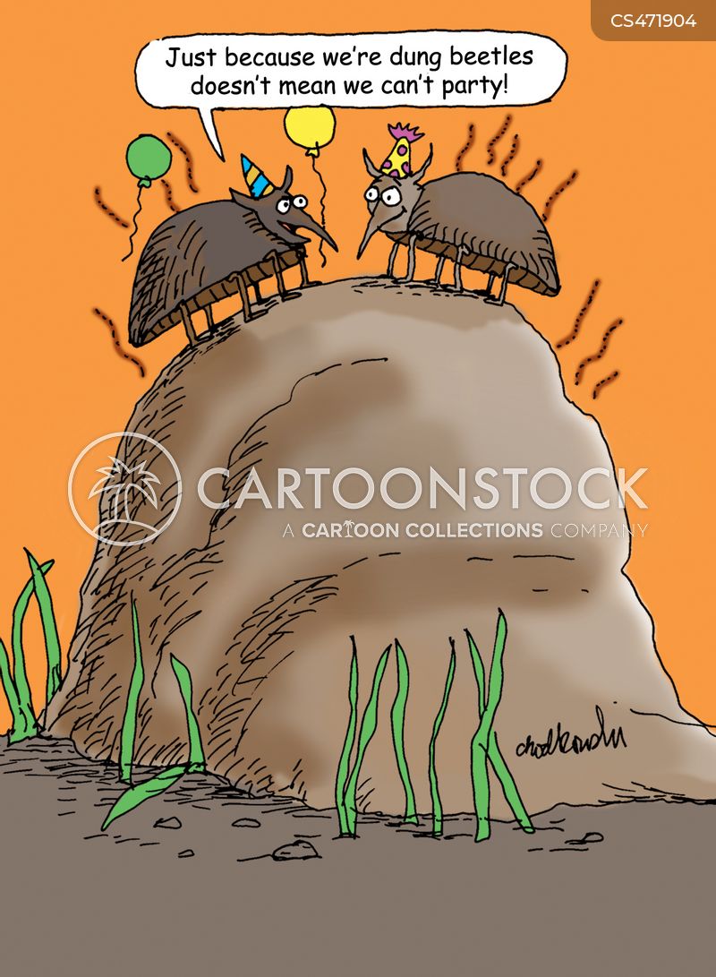 Cartoon. Two dung beetles atop of a dung pile. They are wearing party hats and there are balloons. One beetle is saying, “Just because we’re dung beetles doesn’t mean we can’t party.”