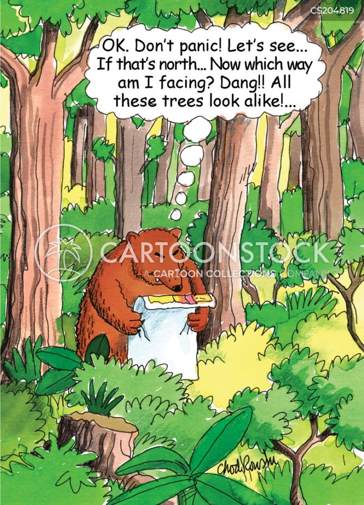 Cartoon of a bear lost in the woods. He’s looking at a map but can’t figure out where he is. "Ok. Don't panic! Let's see..if that's north...Now which way am I facing? Dang!! All these trees look alike!..."