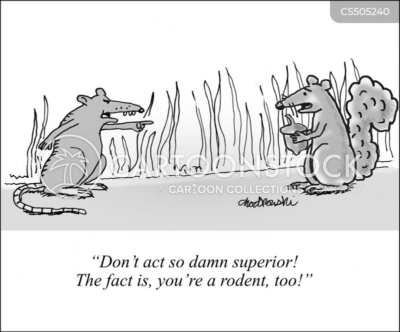 Cartoon. A rat that’s stopped a squirrel who is holding an acorn. The rat is pointing at the squirrel and saying, “Don't act so damn superior! The fact is, you're a rodent, too!"