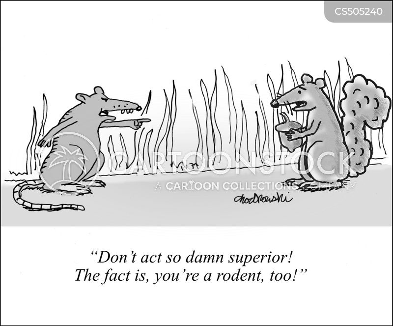 Cartoon. A rat that’s stopped a squirrel who is holding an acorn. The rat is pointing at the squirrel and saying, “Don't act so damn superior! The fact is, you're a rodent, too!"