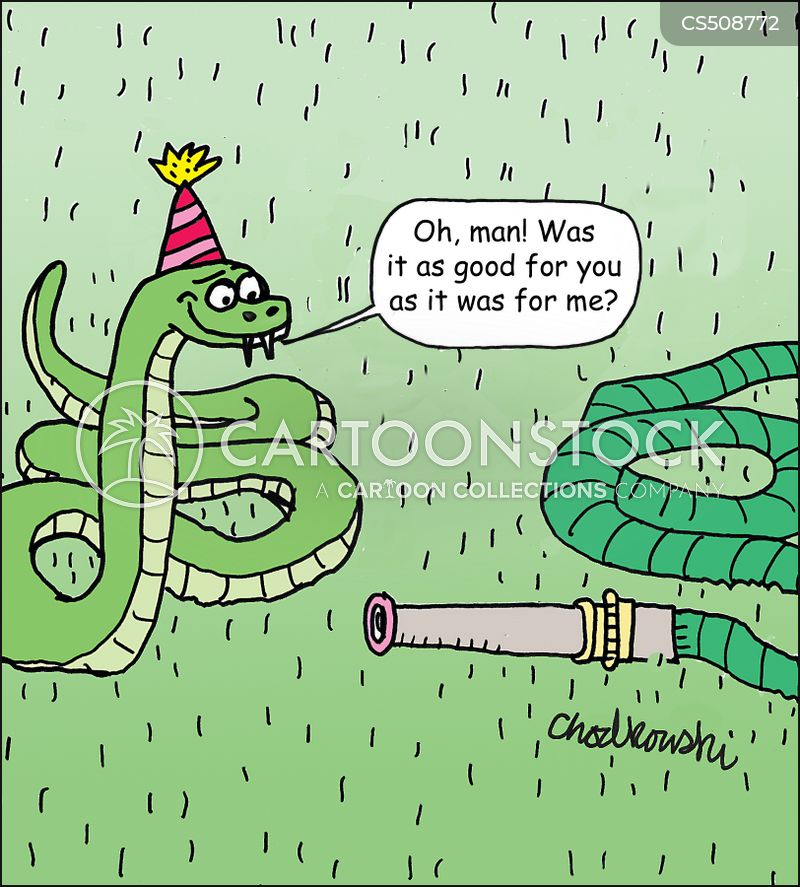 Cartoon. A snake in grass with a party hat on is talking to a hose whose nozzle is facing the snake. The snake is saying, "Oh, man! Was it as good for you as it was for me?"