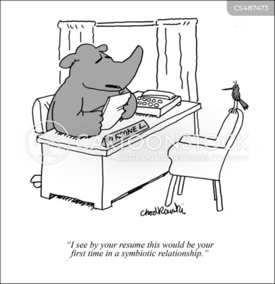 Cartoon. A hippopotamus is interviewing a bird for a new position. The bird is perched on the top of the chair’s back. The hippo reads the bird’s resume and notes, "I see by your resume this would be your first time in a symbiotic relationship."