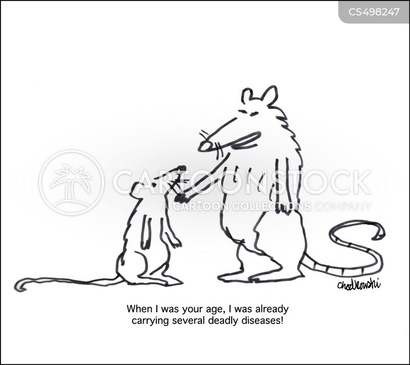 Cartoon of a young rat listening to an old rat. The old rat is bragging, "When I was your age, I was already carrying several deadly diseases!"