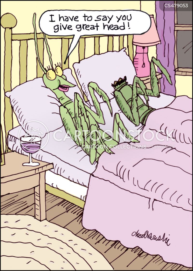 Praying mantises in bed. The female is asking her partner if it was as good for him as it was for her. The male is missing his head, Female praying mantises sometimes bite their partner's head off after sex.