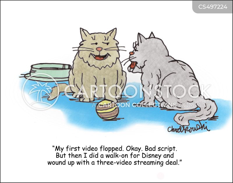 A cat bragging to another cat about how his first video flopped. Bad script. But he got a walk-on on a Disney film and that lead to a 3-video deal. 