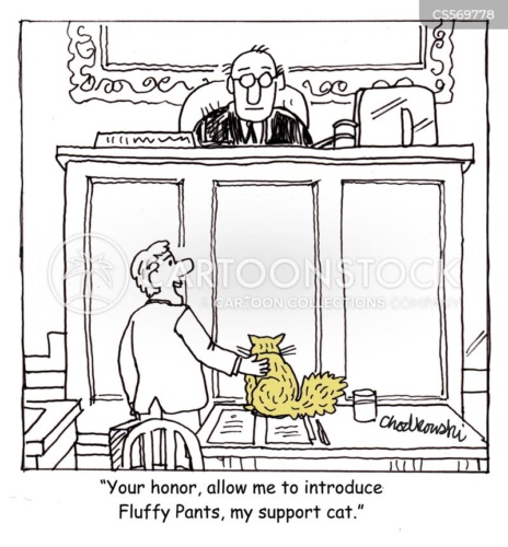 Fluffy Pants Support Animal. A lawyer and his cat are facing a judge and the lawyer is introducing Fluffy Pants, his support cat."