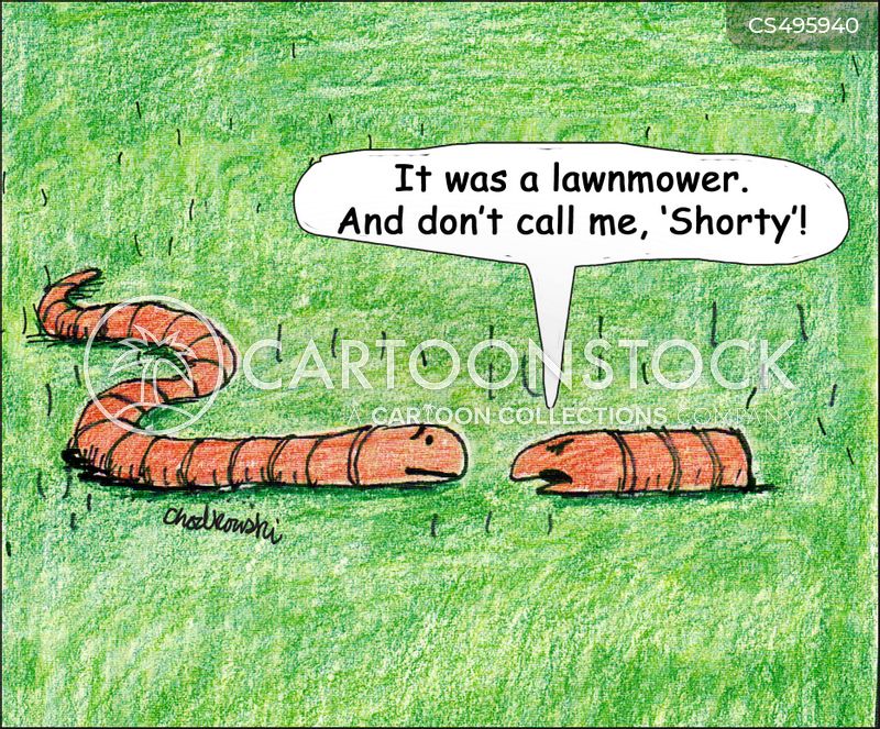 Cartoon. Two worms meeting while working their way across a lawn. One worm is normal. The other has only a head and three segments. The truncated worm says, “It was a lawnmower. And don’t call me, ‘Shorty!’”