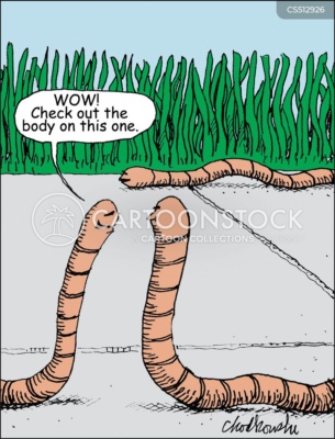 Two worms are watching another worm crawling along the other side of the sidewalk. One worm is remarking, “Wow. Check out the body on this one.”