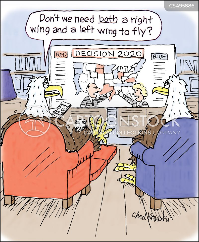 Two eagles are watching the 2020 election results while having a beer and sitting in their living room chairs. Two people are on TV filling in a map of U.S. with blue and red colors while arguing. One eagle asks the other if they don't need both a right wing and a left wing to fly
